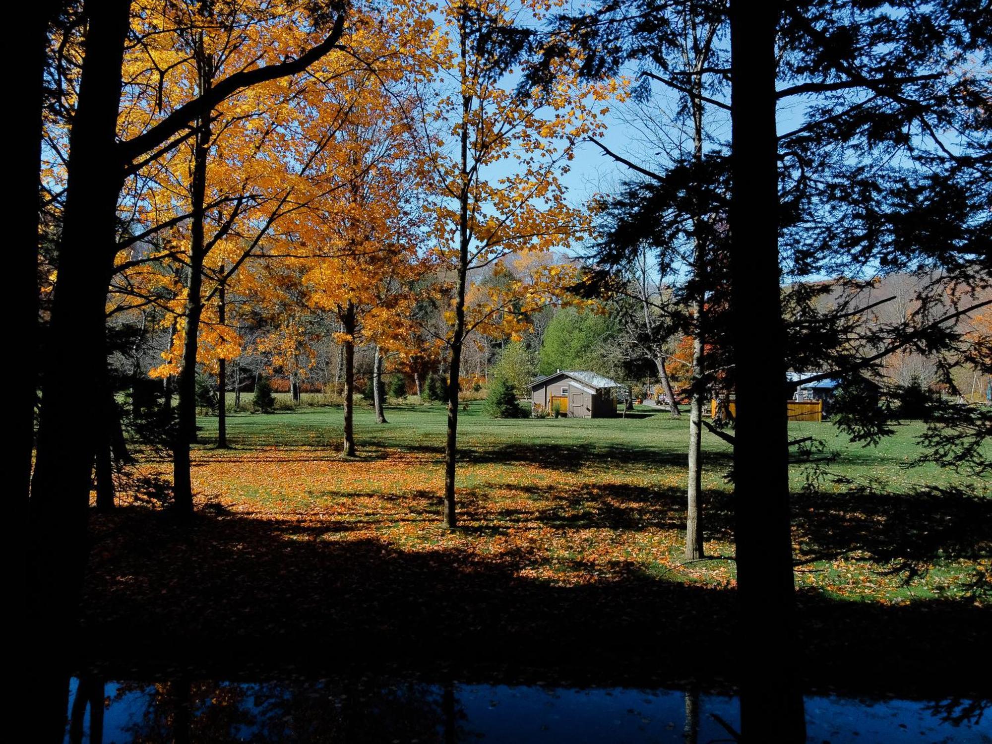 Hotel Antrim Streamside à Livingston Manor Extérieur photo